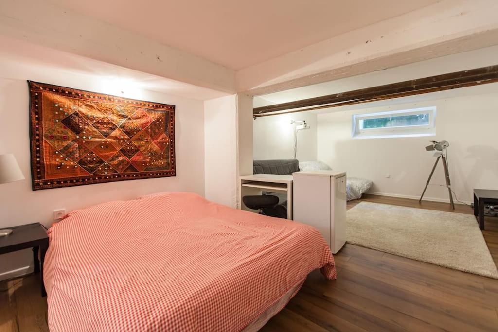 R-Appartements Strasbourg Cosy Orangerie Pour Vos Sejours En Famille Ou Entre Amis エクステリア 写真